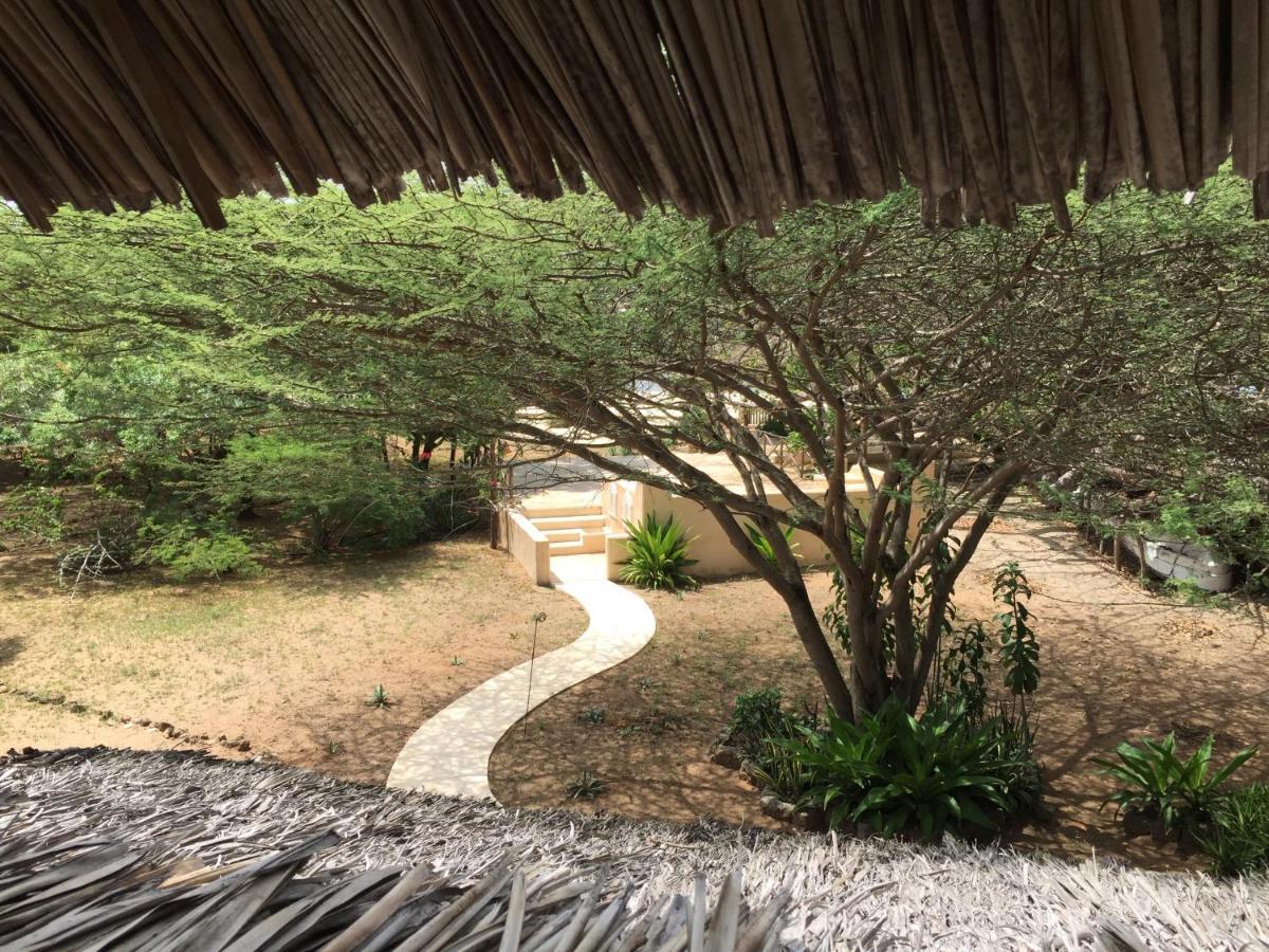 ホテル Mangrove House ラム エクステリア 写真