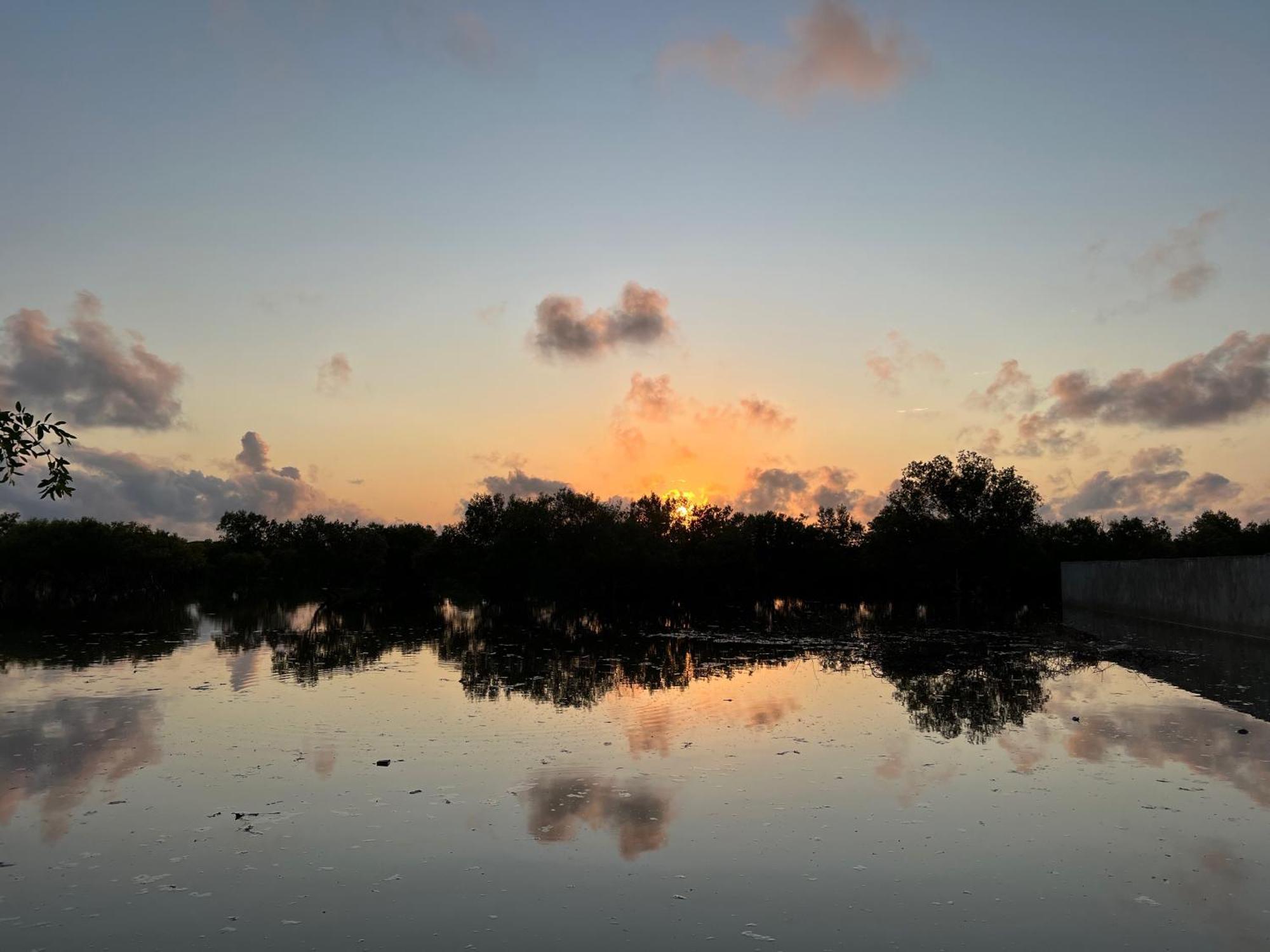ホテル Mangrove House ラム エクステリア 写真