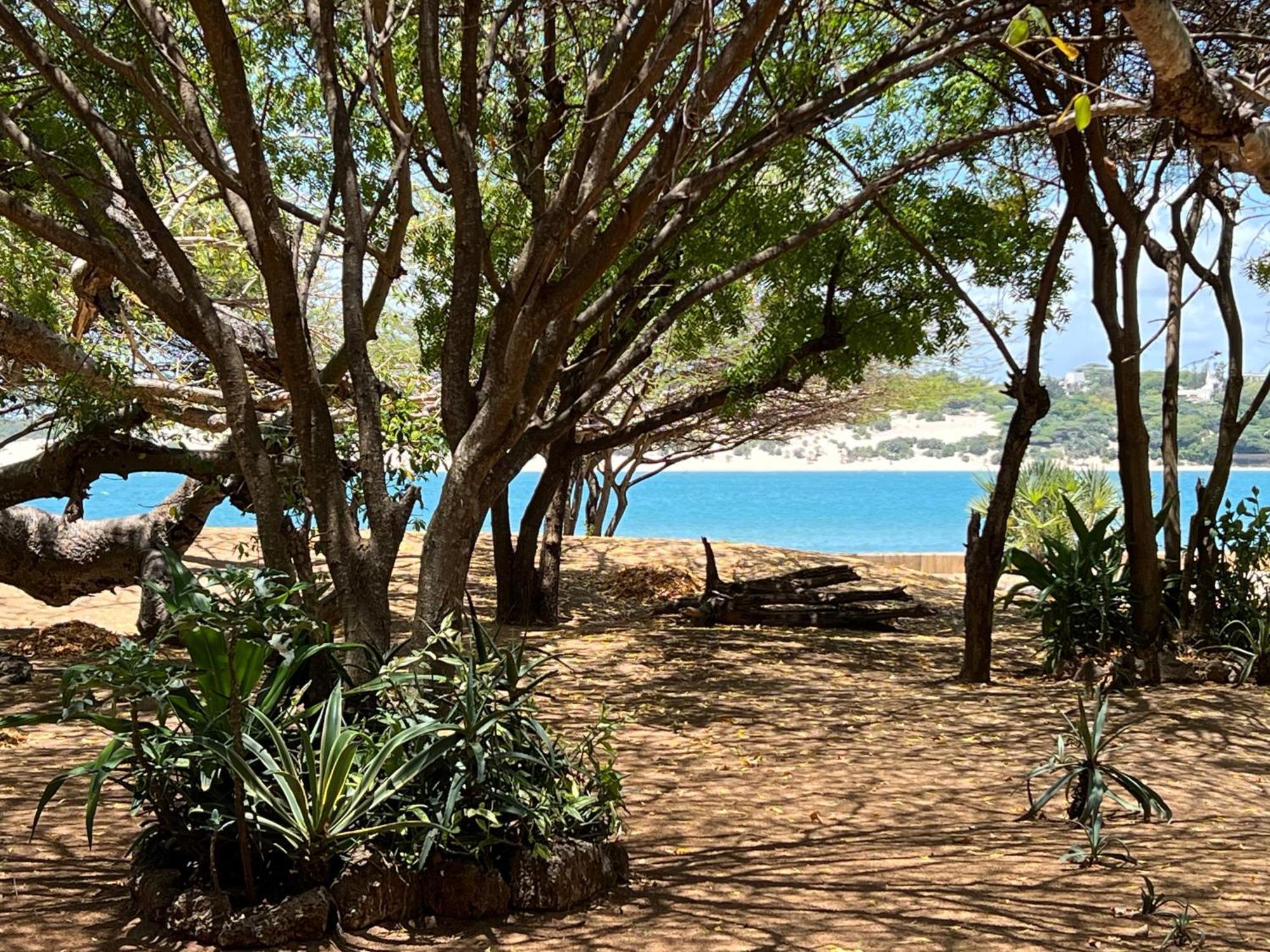 ホテル Mangrove House ラム エクステリア 写真